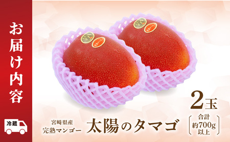 《2026年発送先行予約》【数量・期間限定】宮崎県産 太陽のタマゴ 2玉 国産 マンゴー 完熟 完熟マンゴー 厳選 冷蔵 フルーツ 果物 旬の果物 くだもの 特産品 お取り寄せ 贈答 ギフト
