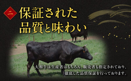 和牛 大和牛ヒレ 160g×5枚 ステーキ用 F-33