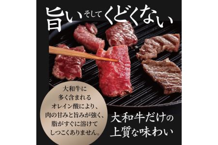 大和牛焼肉セット 大和牛ロース 350g 上カルビ 300g 牛肉 H-45