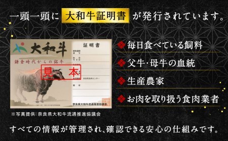 上質和牛 ブランド豚 大和牛肩ロース切落し・ヤマトポークロース切落しセット 黒毛和牛 国産牛肉 U-11