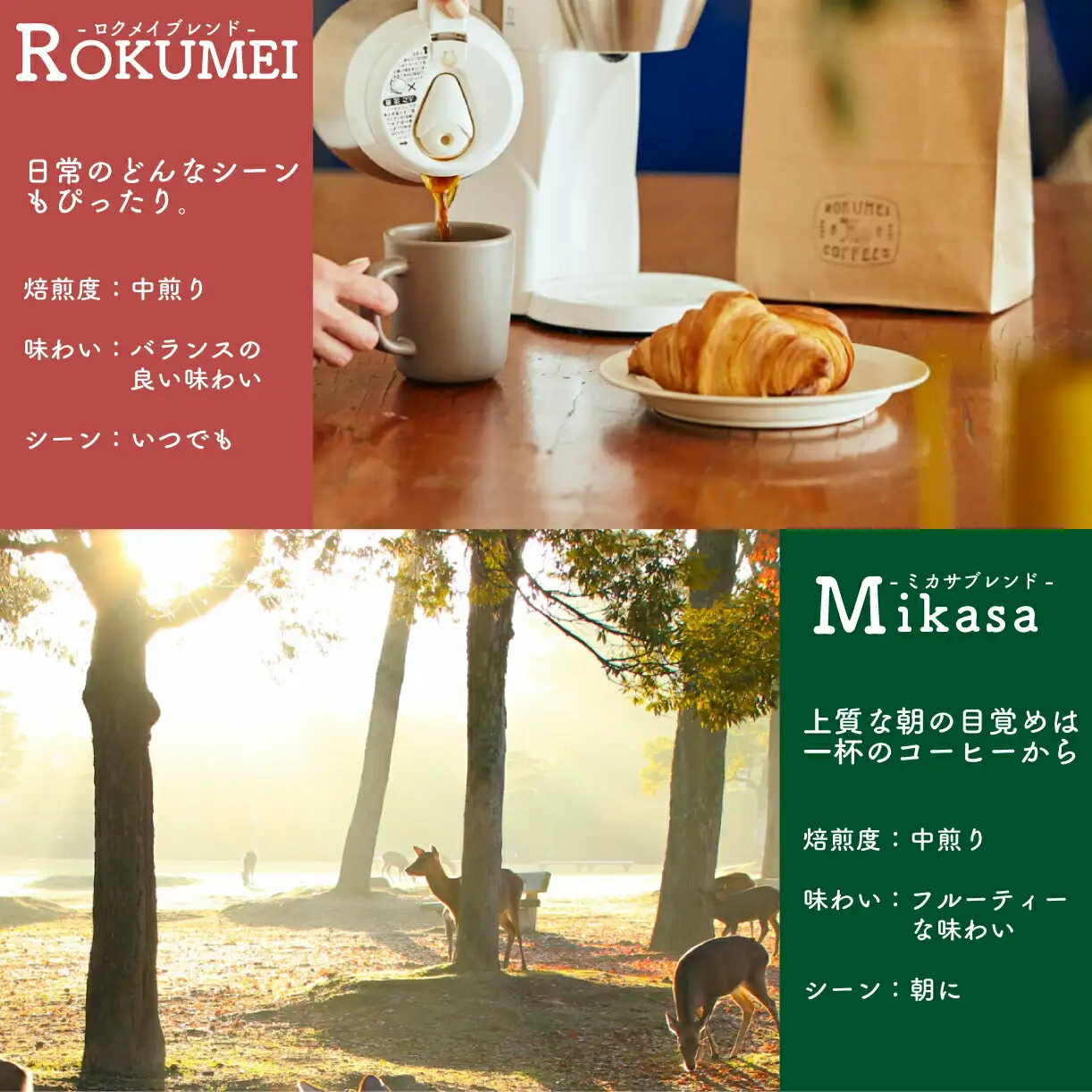 コーヒー 日本一の焙煎士が焙煎！コーヒー豆 ロクメイコーヒー 4種飲み比べ H-51 FN-Limited-PR