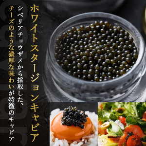 【純国産キャビア】皇帝の涙スペシャルセレクション 60g 国産 チョウザメ キャビア オシェトラ 食べ比べ