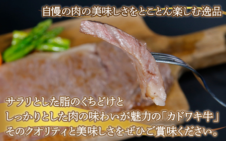 北海道 黒毛和牛 カドワキ牛 サーロイン ステーキ 2枚 200～220g/枚【冷凍】