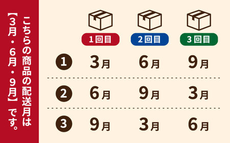 【3回定期便】カステラ巻 1箱 （12個入） 個包装 長崎 土産 ギフト 五島市/文明堂総本店[PEO010]  和菓子 洋菓子 詰め合わせ 化粧箱 贈答
