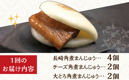 【6回定期便】【化粧箱】角煮まんじゅう3種 計48個 岩崎本舗[EAB043] 角煮 ギフト 定期 定期便