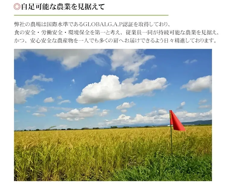 【令和7年産】おやじの米 JAS有機栽培米 コシヒカリ 白米 5kg 山形県鶴岡産　鈴木農産企画