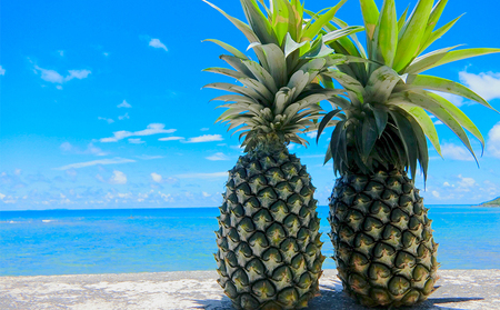 フルーツ【2026年発送】久米島印商店 完熟マンゴー約1kg&パイナップル（Ｎ67-10）2個（1.5kg以上×2） マンゴー パイナップル 