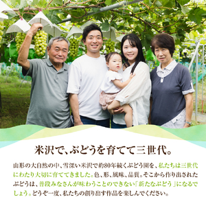 【先行予約】 【数量限定】 令和8年産 シャインマスカット 210g × 3パック 計 630g 2026年9月上旬頃～お届け予定