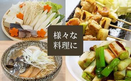 鳥取県産　【訳あり】白ネギ4kg