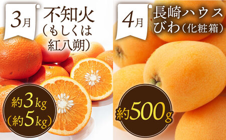 【3回定期便】フルーツ定期便  贅沢宝庫 [SDZ024]