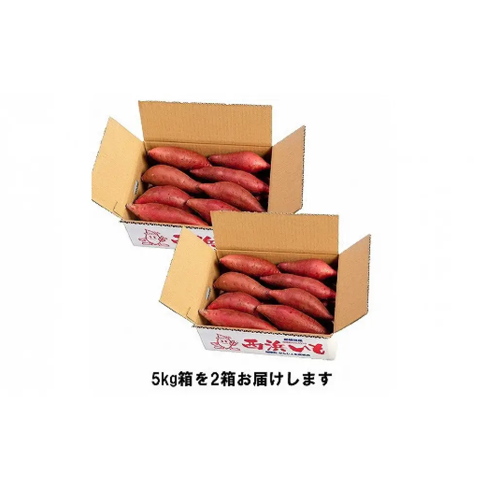 西浜いも（べにはるか）10kg（5kg×2）