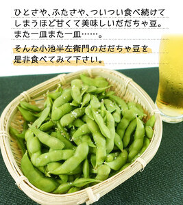 【令和8年産先行予約】朝採りだだちゃ豆 【白山】1.5kg (500g×3袋) 枝豆　小池半左衛門