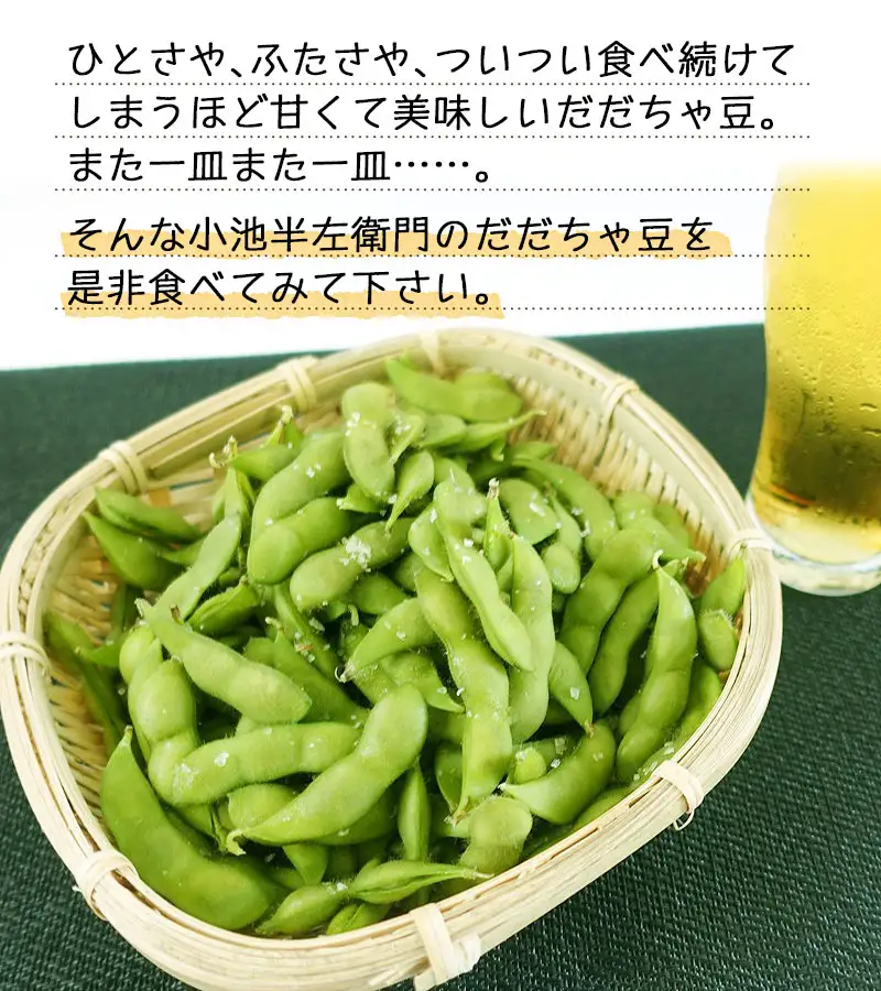 【令和8年産先行予約】朝採りだだちゃ豆 【晩生】1.5kg (500g×3袋) 枝豆　小池半左衛門