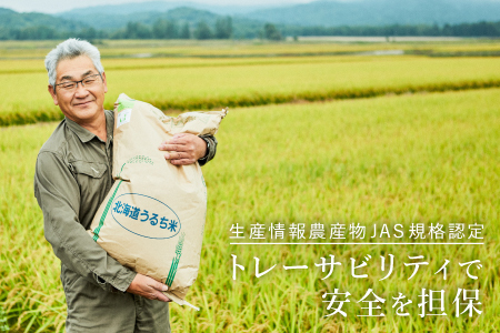 【令和7年産もち米】風の子もち 5kg 北海道北竜町産【sun408-mochi-5-R7A】