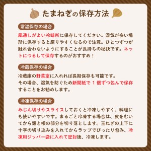 【2026年産先行受付】【10月上旬より発送】北海道十勝めむろ産　たまねぎ L大サイズ 20kg 玉ねぎ 期間限定 玉葱 タマネギ 野菜 長期保存 オニオン オニオンスープ カレー 焼肉 産地直送 送料無料 お取り寄せグルメ 北海道 十勝 芽室町 me010-011c-26