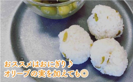 【3回定期便】オリーブ塩＆オリーブレモン塩 セット（各2個）計12個 長与町/ゆきのヶ丘オリーブ園 [EAV015]  調味料 オリーブ 塩