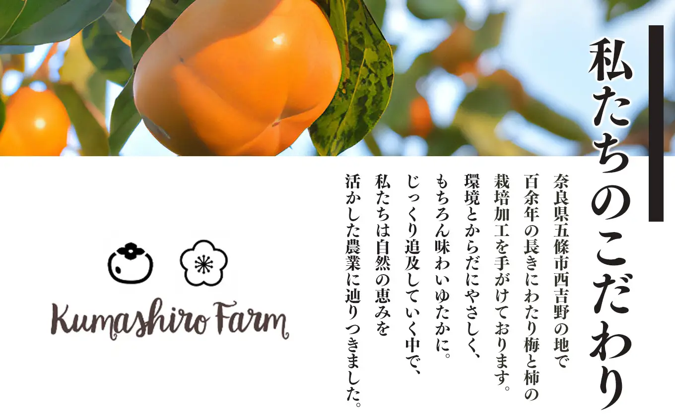 富有柿 化粧箱 入り 大玉 3L サイズ 11個 |  果物 柿 贈答 熊代農園