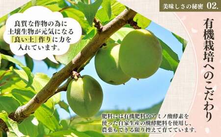 有機栽培　南高しそ漬け梅干700g | 果実 かじつ カジツ 梅 うめ ウメ 梅干し 奈良県 五條市 健康