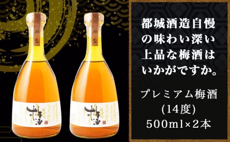 都城酒造 ほろ酔い梅酒2本≪みやこんじょ特急便≫_AO-6701_(都城市) プレミアム梅酒 14度 500ml 2本 都城酒造 梅酒