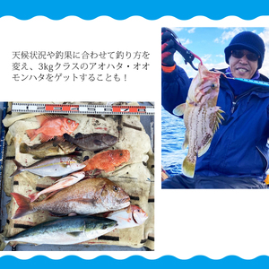 魚釣り 体験 釣り 釣り船 近海プラン 釣り経験者 におすすめ！ 6名様分