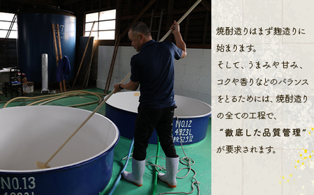 純米焼酎 ばつぐん 計5.4L(900ml×6本) 25度 005-0542