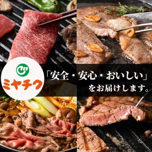 宮崎牛ステーキ(ロース・モモ)セット(合計1kg・各500g)国産 牛肉 お肉 冷凍【R-77】【ミヤチク】
