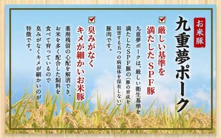 【3回定期便】 大分県産 ブランド豚 九重夢ポーク ミンチ ・ 切り落とし 約2.05kg セット × 3回