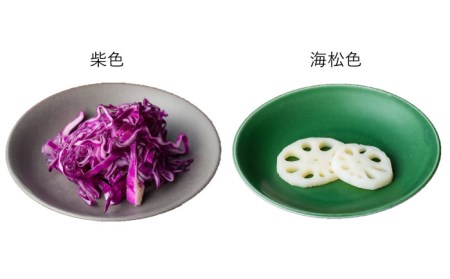 【波佐見焼】料理を引き立たせる 小皿 14色セット 食器 皿 【DRESS】 [SD32] 波佐見焼