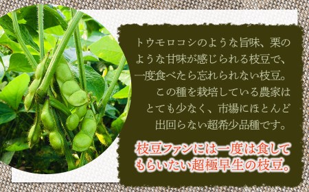 【令和8年産先行予約】 山形セレクション認定！15代目「治五左衛門」の新枝豆「つるおか・ぼんちゃ豆」1.35kg(450g×3袋)  7月中旬～下旬