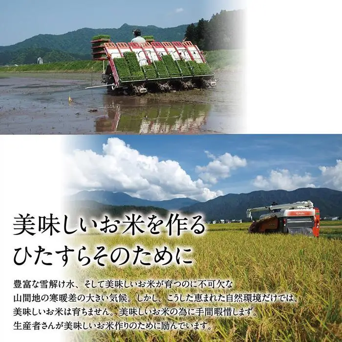 【高島屋選定品】【令和7年産】〈JAみなみ魚沼〉南魚沼産こしひかり10kg【銘柄米 ブランド米 精米 こしひかり コシヒカリ 魚沼産 新潟米 産地直送 お米 米 こめ コメ ご飯 御飯 ごはん】