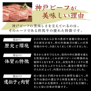 神戸牛 ステーキ 3種 食べ比べ Cセット 計7枚(900g) サーロイン リブロース 赤身もも