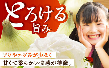 江北町産たまねぎ約10kg HAE017 玉ねぎ 野菜 