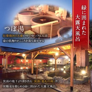 箕面湯元水春・入浴招待券(3枚セット) 入浴券 日帰り温泉 関西版 サウナ 水風呂 チケット 水春 人気 TVで話題 おすすめ 大阪 入浴 温泉 スーパー銭湯 銭湯 入浴チケット 観光 日帰りドライブ 【m32-03】【株式会社ビーバーレコード】