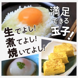 ☆彡6か月定期便☆彡　北杜のたまご（30個入） [h199]