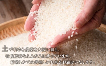 北斗米ゆきのつや10kg（5kg×2袋）柳沼 やぎぬま 東神楽 北海道 お米 北海道米 北海道産お米 ふるさと納税米 お米 道産米