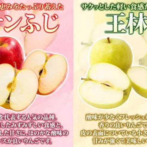 りんご 【1月発送】糖度13度～ 家庭用 サンふじ 王林 約10kg　リンゴ 林檎 青森りんご 糖度 13度 甘い 酸味 デザート フルーツ 果物 お取り寄せ 産地直送 旬 季節限定 弘果物流 青森県 西目屋村 西目屋村産