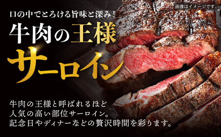 【お中元対応可】【訳あり】長崎和牛 A5 サーロインステーキ 400g(200g×2枚) / サーロイン さーろいん サーロインステーキ ブロック 2枚 A5 希少部位 / 諫早市 / 野中精肉店 [AHCW005]
