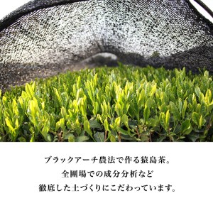 ジェラート ほうじ茶 7個 ジェラートセット 松田製茶