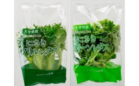 毎月お届け！くにさき太陽のレタス定期便/計6回発送_2120R