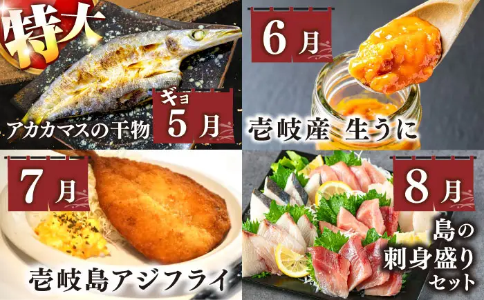 【全12回定期便】 海産物 ギョギョギョ 定期便 （壱）《壱岐市》 [JZX009] 海鮮