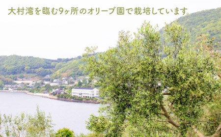 【全12回定期便】 オリーブ ハーブティー  40個（8個入×5袋）長与町/ゆきのヶ丘オリーブ園 [EAV004]  ハーブティー オリーブティー ティーバッグ
