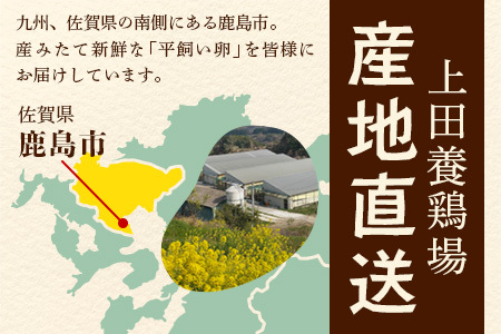 たまご 鶏卵 【定期便】佐賀鹿島産 平飼い初卵「うみとやまとこっこ」 上田養鶏場 たまご60個×3回 卵タマゴ  玉子焼きD-117