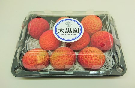 【期間限定発送】 ご家庭用 生ライチ 320g×2パック [大黒園 宮崎県 日向市 452060923]
