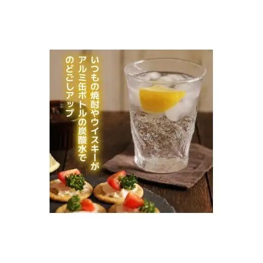 【最速10日以内発送】 炭酸水 缶 500ml×24本 ボトル缶 