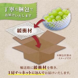 【期間限定発送】 シャインマスカット 2房 約1.2kg [治右衛門果樹園 山形県 高畠町 tk06ays830004]