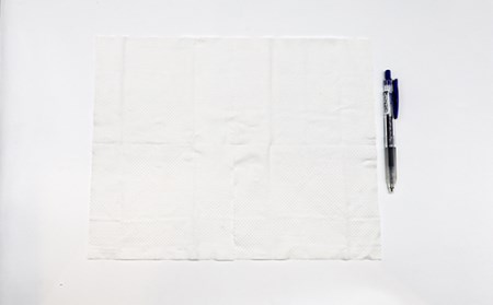流せるトイレクリーナー　24個入り