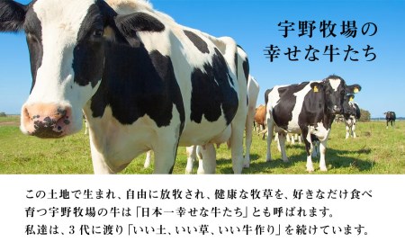 【定期便 3ヶ月】 オーガニック ドリンク ヨーグルト 200g×6本
