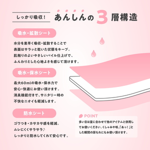 ルナーラ吸水サニタリーショーツ【スタンダード】2枚セット ※着日指定不可◇