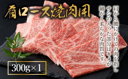 宮崎牛赤身モモ肉400g、赤身ウデ肉400g、肩ロース300ｇの焼肉食べ比べセット（合計1.1kg）_K030-007