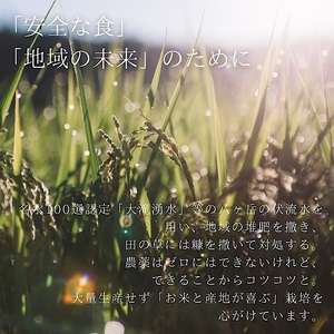 【令和7年度米】八ヶ岳の余韻特別栽培米コシヒカリ　10kg×1袋　八ヶ岳南麓 小淵沢 山梨県 北杜市 [h183]